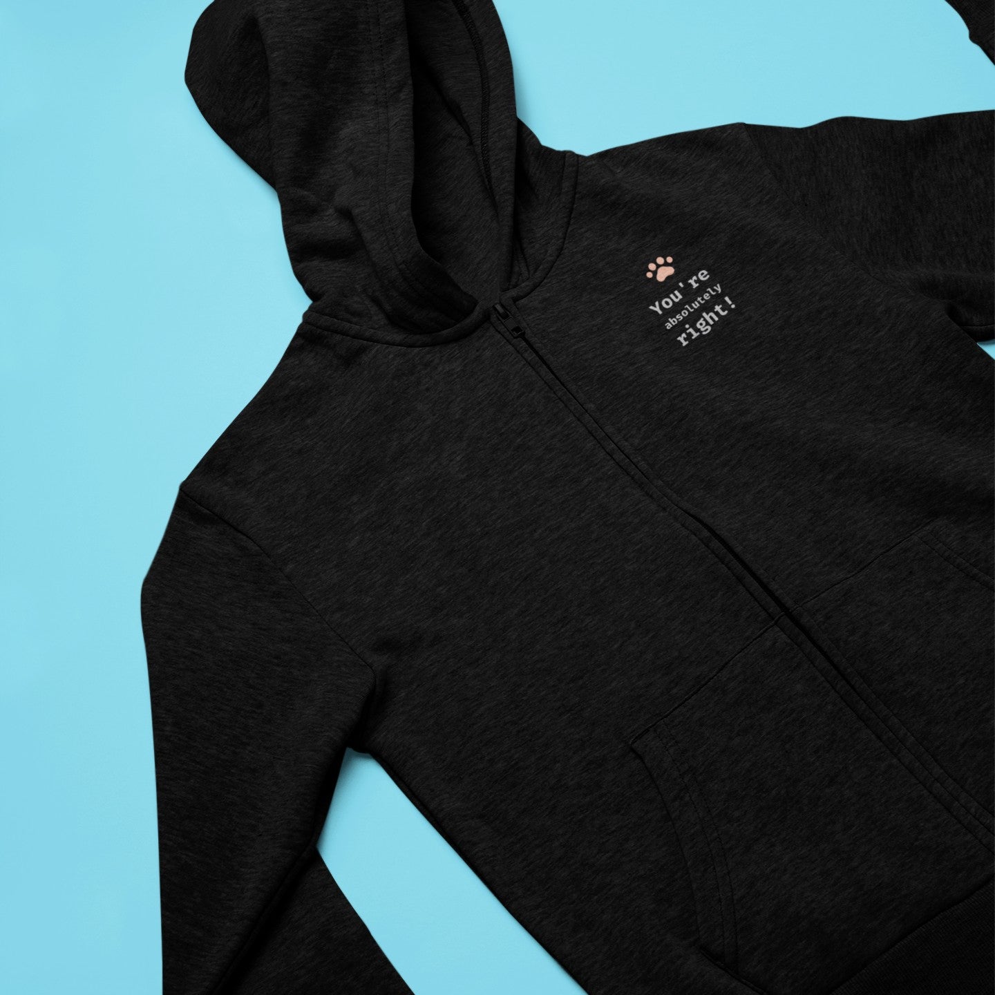 You're absolutely right! Zip Hoodie