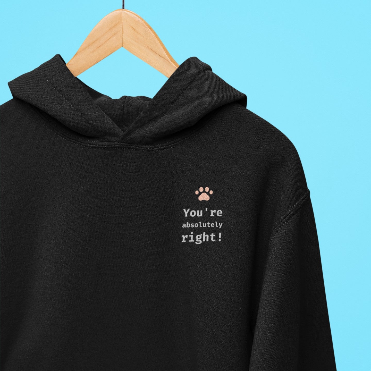 You're absolutely right! Hoodie
