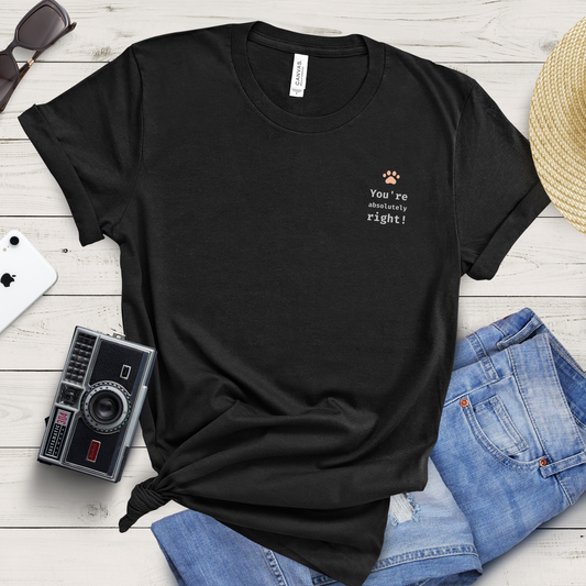 You're absolutely right! T-shirt