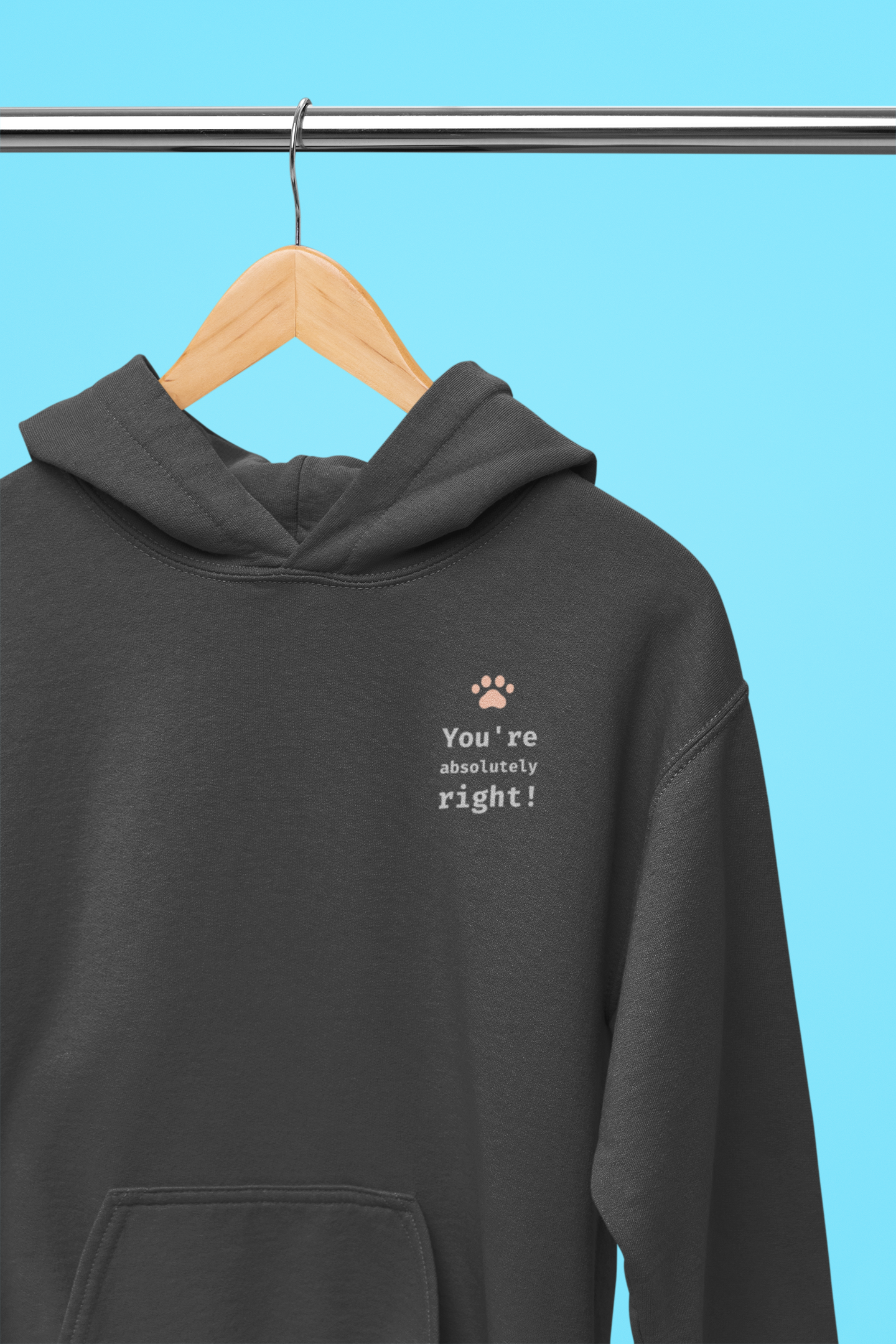 You're absolutely right! Hoodie