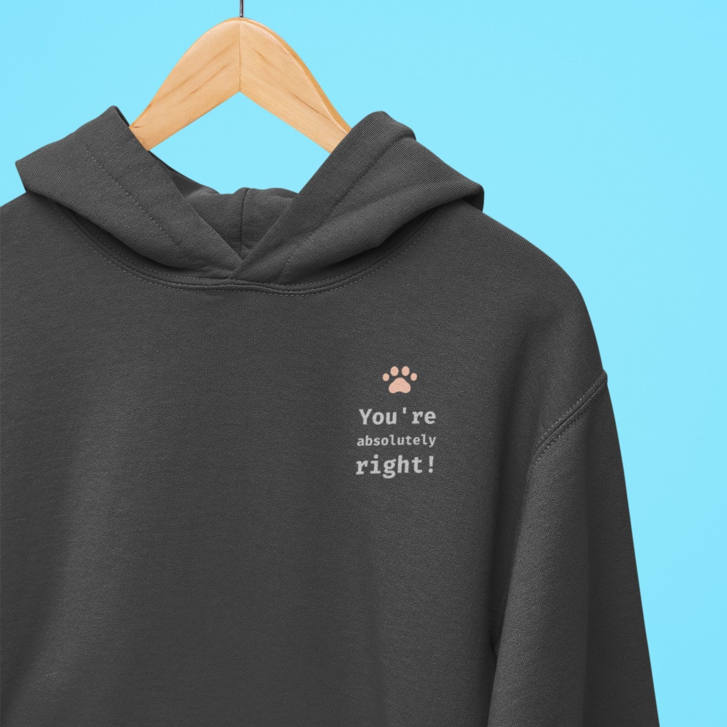 You're absolutely right! Hoodie