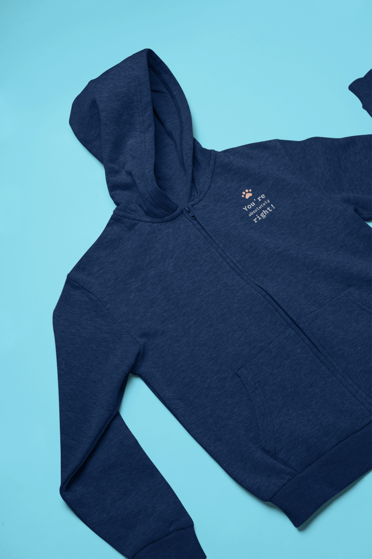 You're absolutely right! Zip Hoodie