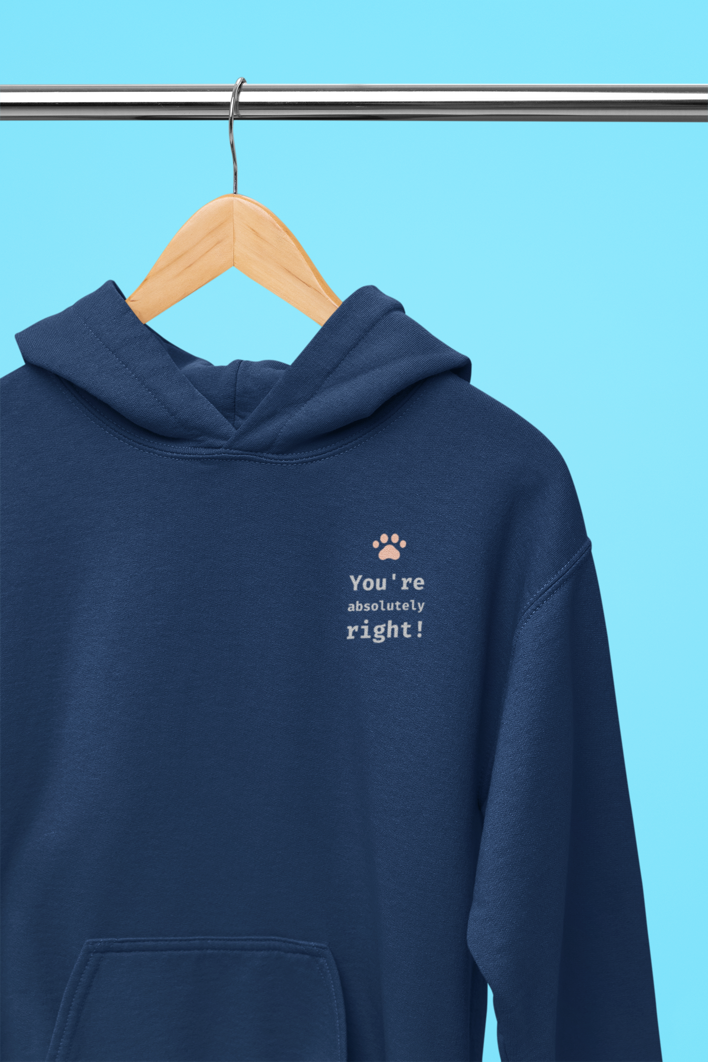 You're absolutely right! Hoodie
