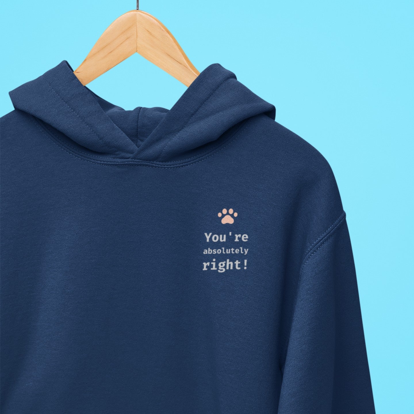 You're absolutely right! Hoodie