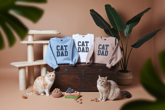 Cover image for Best 2025 Sweatshirts for Cat-Loving Coders