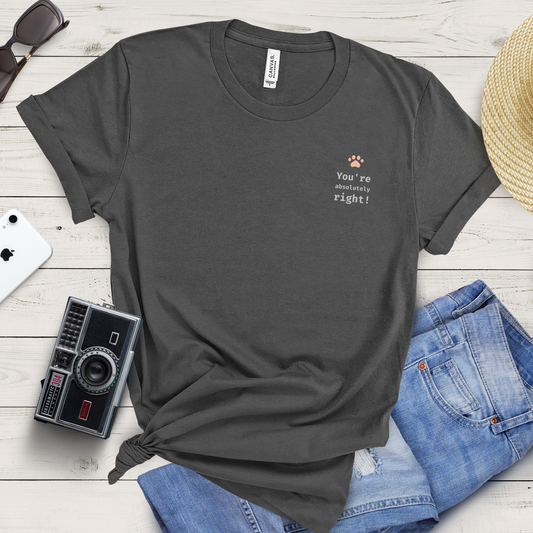 You're absolutely right! T-shirt