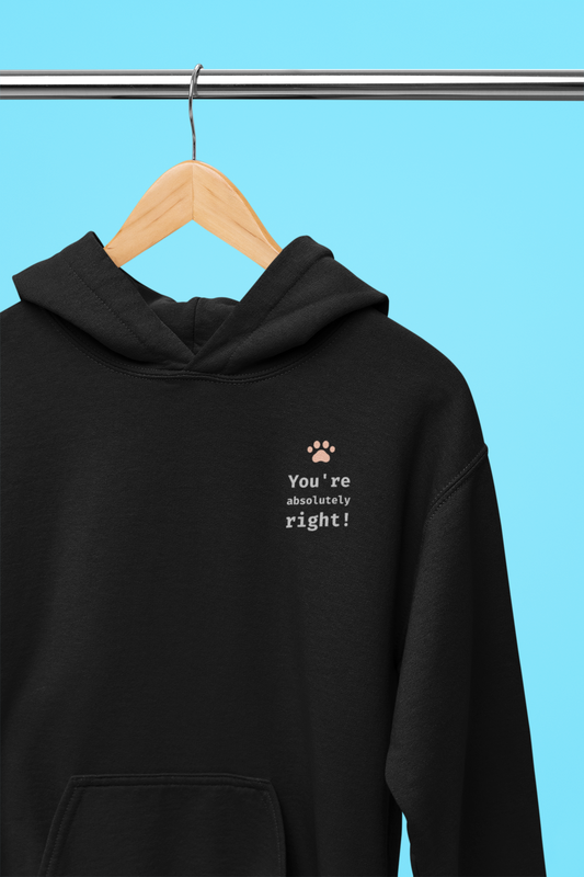 You're absolutely right! Hoodie