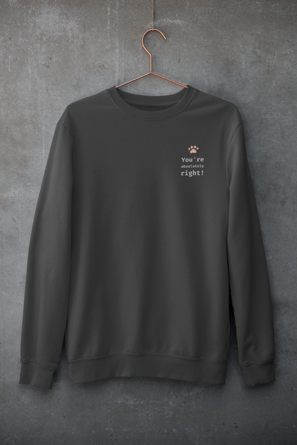 You're absolutely right! Sweatshirt